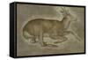 Etude d'un jeune cerf-Jacopo Bellini-Framed Stretched Canvas