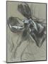 Etude d'un noeud de ruban-Edgar Degas-Mounted Giclee Print
