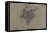 Etude d'un renard-Pieter Boel-Framed Stretched Canvas