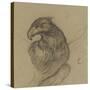 Etude d'un vautour-Pieter Boel-Stretched Canvas