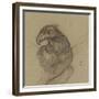 Etude d'un vautour-Pieter Boel-Framed Giclee Print