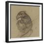 Etude d'un vautour-Pieter Boel-Framed Giclee Print