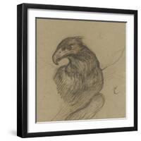 Etude d'un vautour-Pieter Boel-Framed Premium Giclee Print