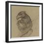 Etude d'un vautour-Pieter Boel-Framed Premium Giclee Print