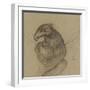 Etude d'un vautour-Pieter Boel-Framed Premium Giclee Print