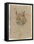 Etude d'une tête de lynx-Pieter Boel-Framed Stretched Canvas