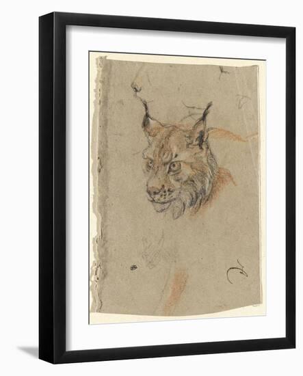 Etude d'une tête de lynx-Pieter Boel-Framed Giclee Print