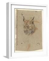 Etude d'une tête de lynx-Pieter Boel-Framed Giclee Print