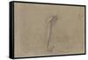 Etude d'une trompe d'éléphant-Pieter Boel-Framed Stretched Canvas