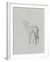 Etude de biche-Thomas Couture-Framed Giclee Print