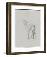 Etude de biche-Thomas Couture-Framed Giclee Print