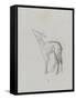 Etude de biche-Thomas Couture-Framed Stretched Canvas