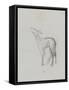 Etude de biche-Thomas Couture-Framed Stretched Canvas