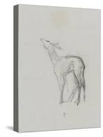 Etude de biche-Thomas Couture-Stretched Canvas