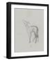 Etude de biche-Thomas Couture-Framed Giclee Print