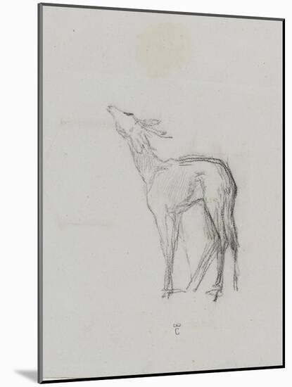 Etude de biche-Thomas Couture-Mounted Giclee Print