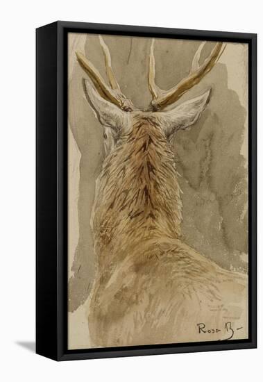 Etude de cerf-Rosa Bonheur-Framed Stretched Canvas