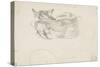 Etude de chat couché vu de dos-Eugene Delacroix-Stretched Canvas