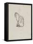 Etude de chat (Villiers)-Thomas Couture-Framed Stretched Canvas