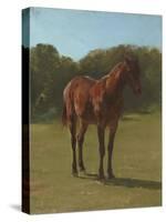 Etude de cheval bai cerise-Rosa Bonheur-Stretched Canvas