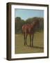 Etude de cheval bai cerise-Rosa Bonheur-Framed Giclee Print