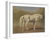 Etude de cheval blanc-Rosa Bonheur-Framed Giclee Print