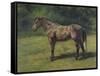 Etude de cheval gris au vert-Rosa Bonheur-Framed Stretched Canvas