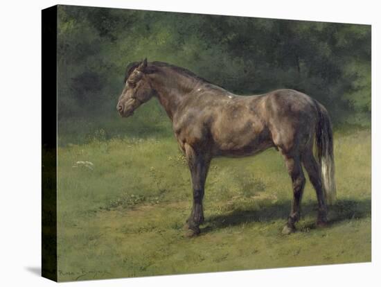 Etude de cheval gris au vert-Rosa Bonheur-Stretched Canvas