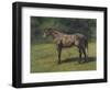 Etude de cheval gris au vert-Rosa Bonheur-Framed Giclee Print