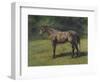 Etude de cheval gris au vert-Rosa Bonheur-Framed Giclee Print