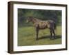 Etude de cheval gris au vert-Rosa Bonheur-Framed Giclee Print