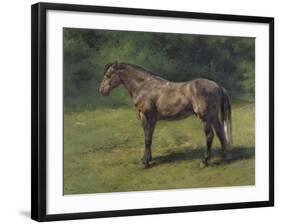 Etude de cheval gris au vert-Rosa Bonheur-Framed Giclee Print