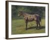 Etude de cheval gris au vert-Rosa Bonheur-Framed Giclee Print