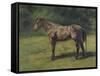 Etude de cheval gris au vert-Rosa Bonheur-Framed Stretched Canvas