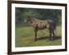 Etude de cheval gris au vert-Rosa Bonheur-Framed Giclee Print