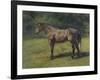 Etude de cheval gris au vert-Rosa Bonheur-Framed Giclee Print