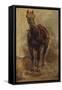 Etude de cheval pour le portrait équestre du comte Palikao-Paul Baudry-Framed Stretched Canvas