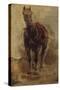 Etude de cheval pour le portrait équestre du comte Palikao-Paul Baudry-Stretched Canvas