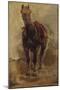 Etude de cheval pour le portrait équestre du comte Palikao-Paul Baudry-Mounted Giclee Print