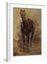 Etude de cheval pour le portrait équestre du comte Palikao-Paul Baudry-Framed Giclee Print