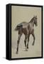 Etude de cheval-Adrien Emmanuel Marie-Framed Stretched Canvas