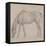 Etude de cheval-Edgar Degas-Framed Stretched Canvas