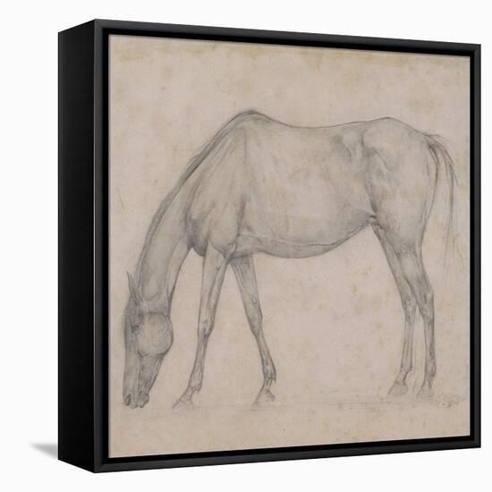 Etude de cheval-Edgar Degas-Framed Stretched Canvas