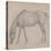 Etude de cheval-Edgar Degas-Stretched Canvas