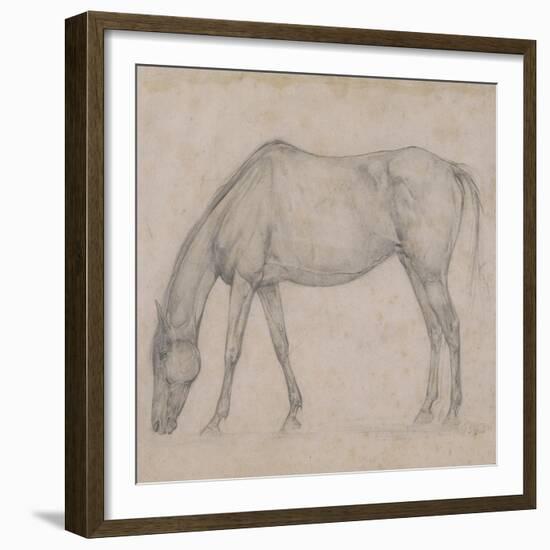 Etude de cheval-Edgar Degas-Framed Giclee Print