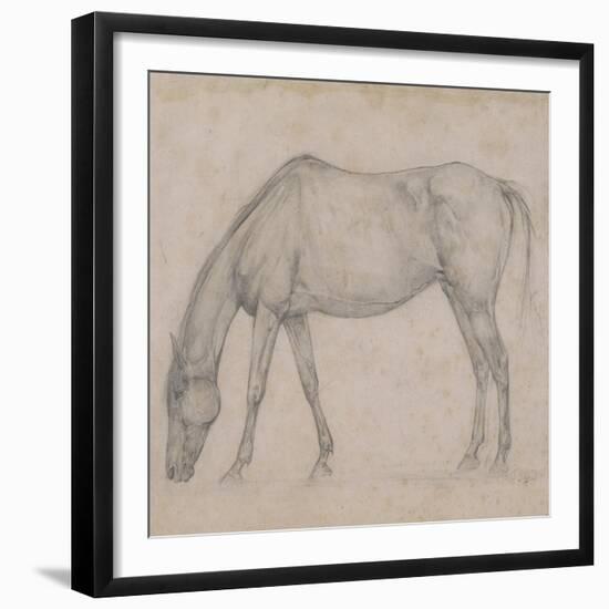 Etude de cheval-Edgar Degas-Framed Giclee Print