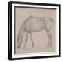 Etude de cheval-Edgar Degas-Framed Giclee Print