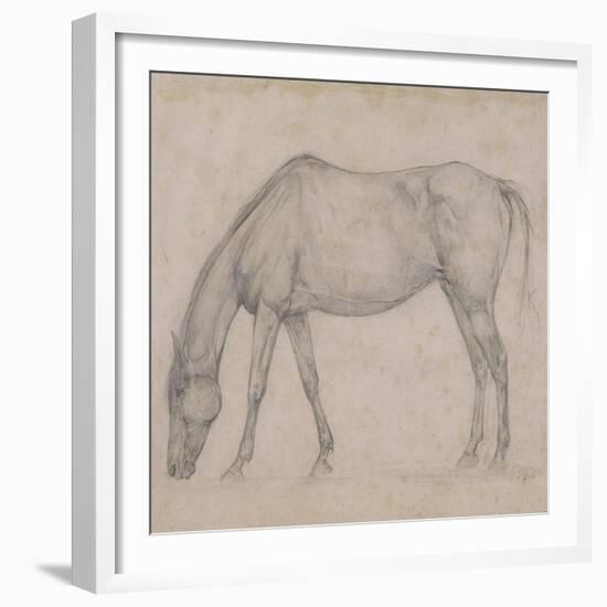Etude de cheval-Edgar Degas-Framed Giclee Print