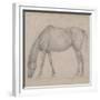 Etude de cheval-Edgar Degas-Framed Giclee Print