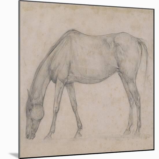 Etude de cheval-Edgar Degas-Mounted Giclee Print